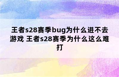 王者s28赛季bug为什么进不去游戏 王者s28赛季为什么这么难打